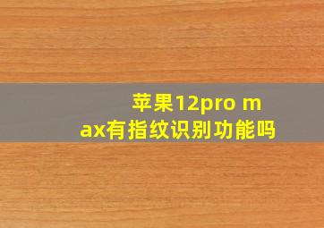 苹果12pro max有指纹识别功能吗